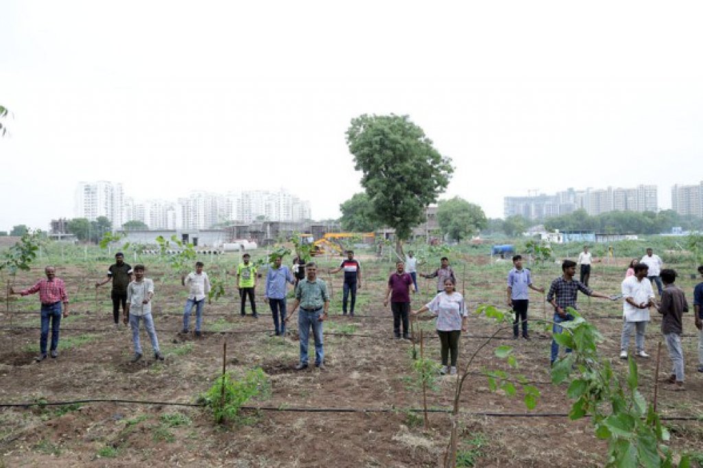 Tree Plantation Event